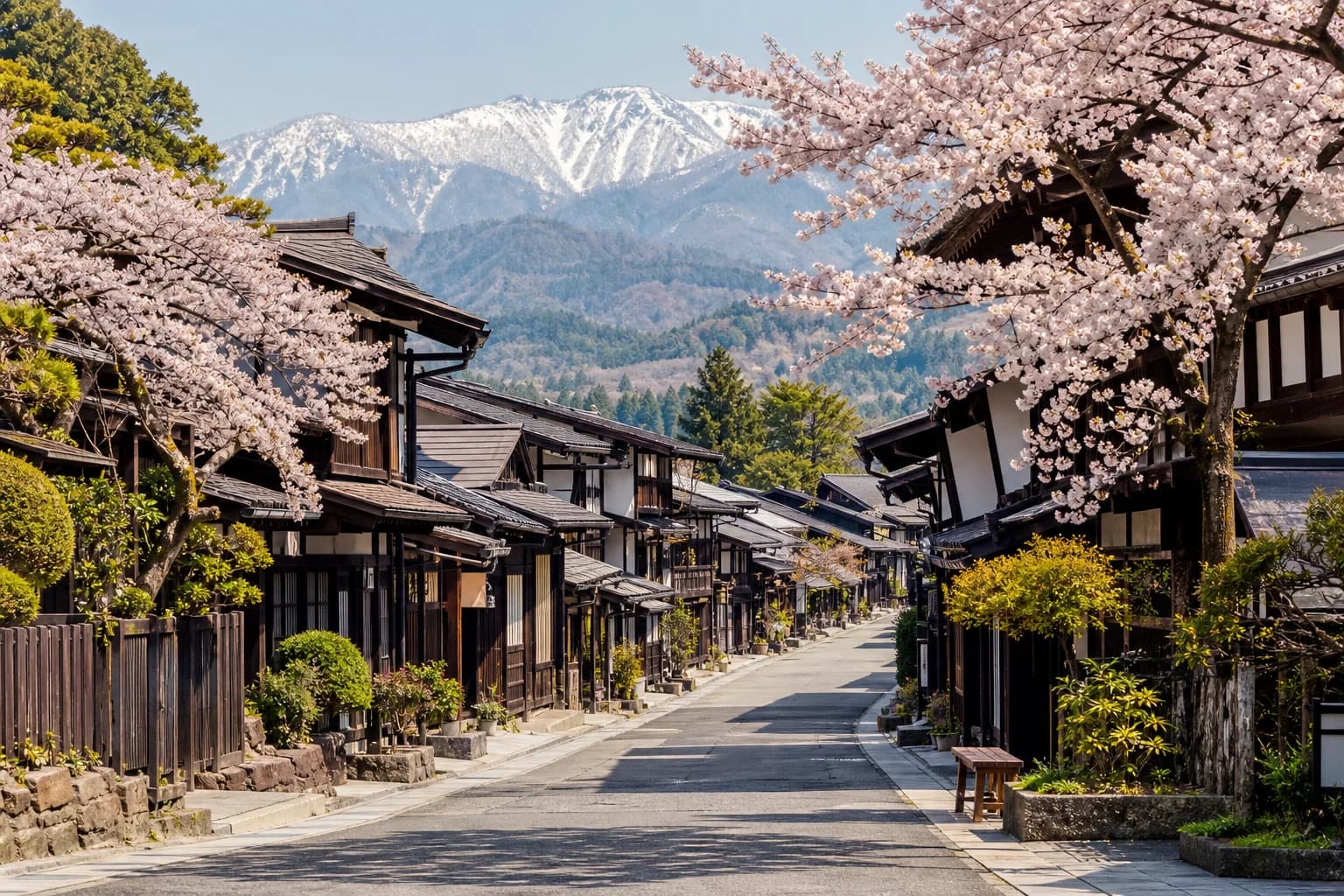 Japan Tohoku Sakura & Edo Wonderland